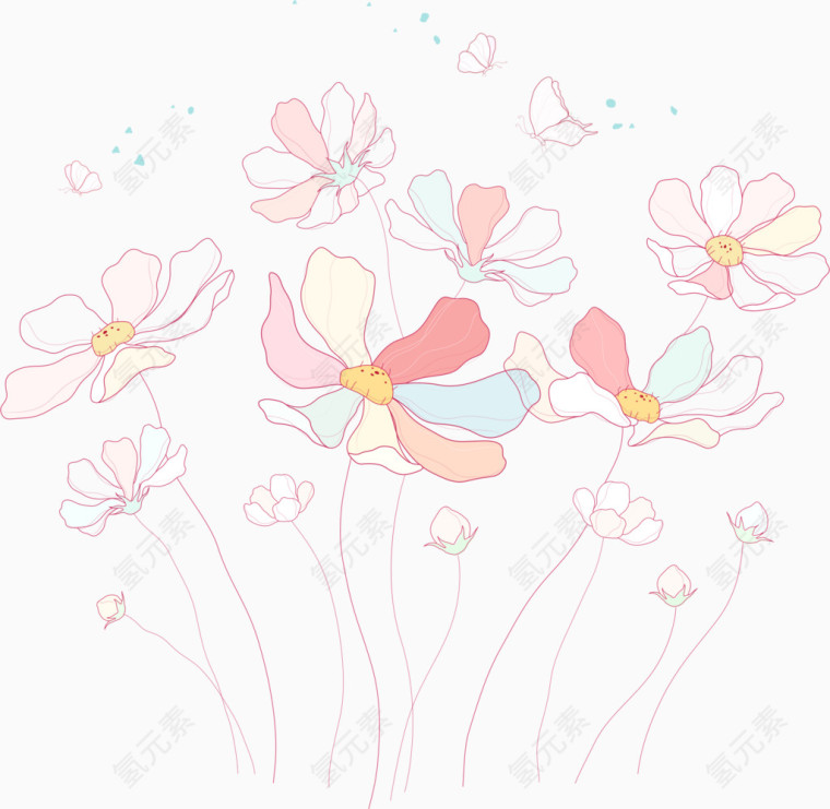 手绘格桑花
