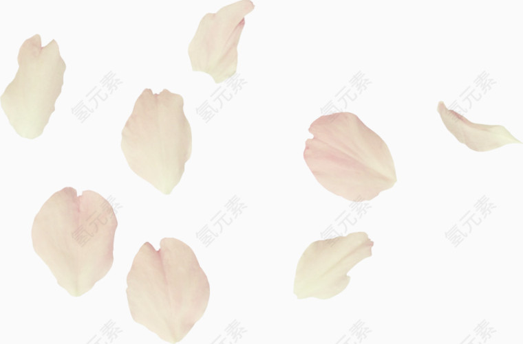 花瓣
