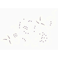 蕾丝十字绣花卉