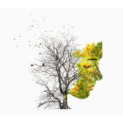 枯树和绿叶组成的女性创意剪影