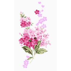 小粉花免费下载 