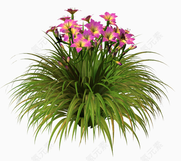 花草图案花卉设计素材