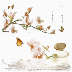 粉红花枝和彩蝶