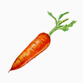 蔬菜