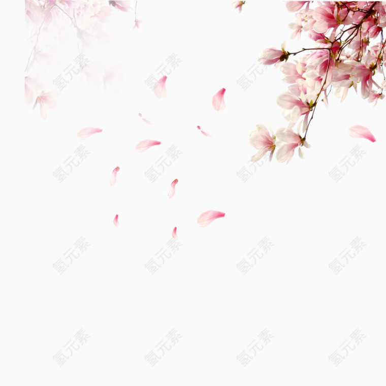 满天飞舞的花瓣