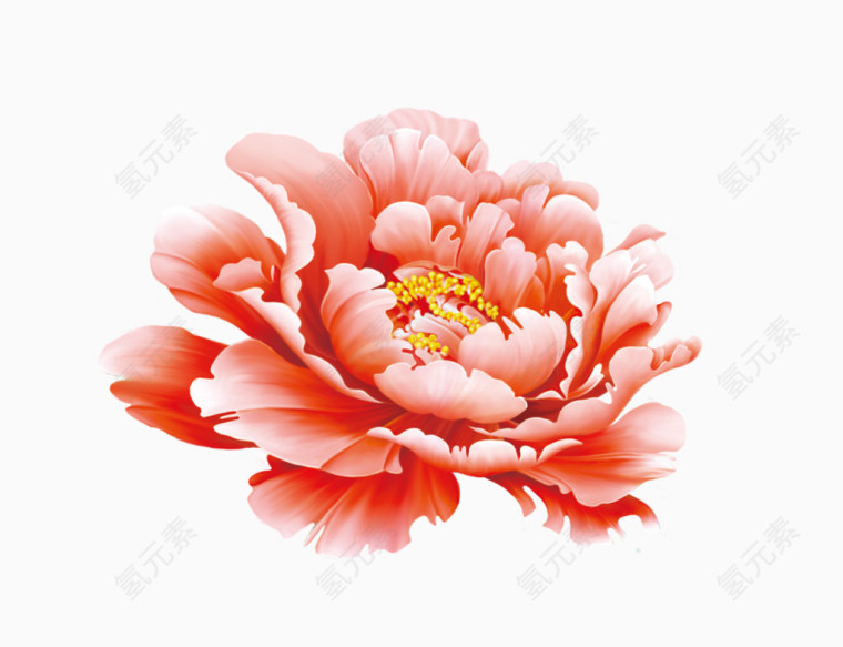 花朵