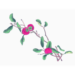 手绘花卉