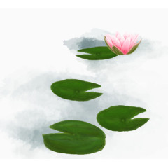 荷叶