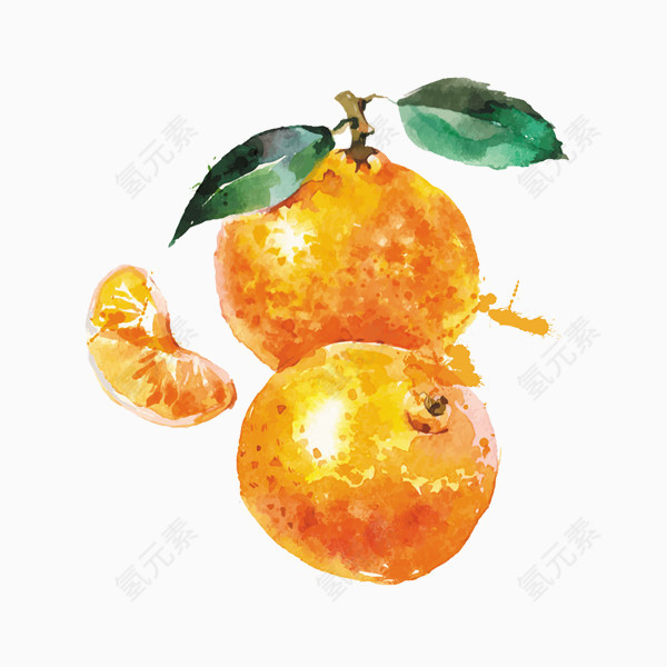 手绘水彩橘子