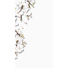 效果元素  花卉