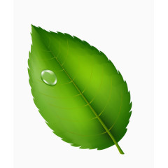 绿色图标标签元素