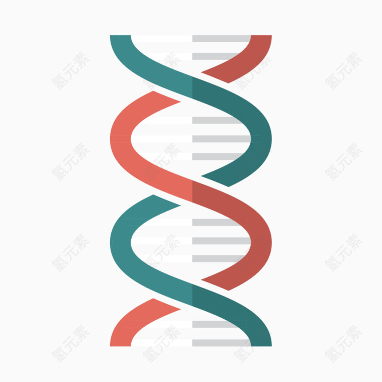 化学螺旋分子结构