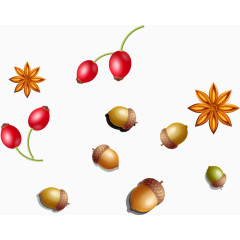 秋天野果矢量免抠素材