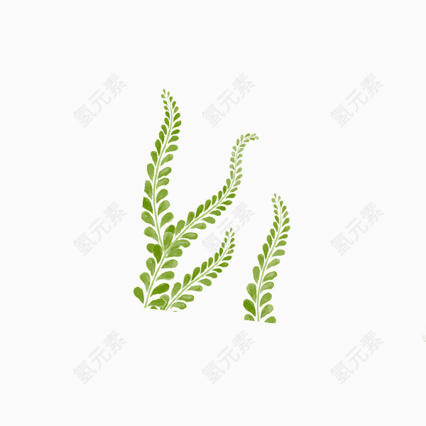 绿色水草绿植清新