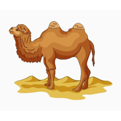 骆驼
