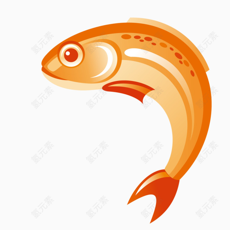 海洋鱼类