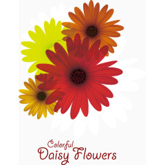 矢量丰富多彩的雏菊花