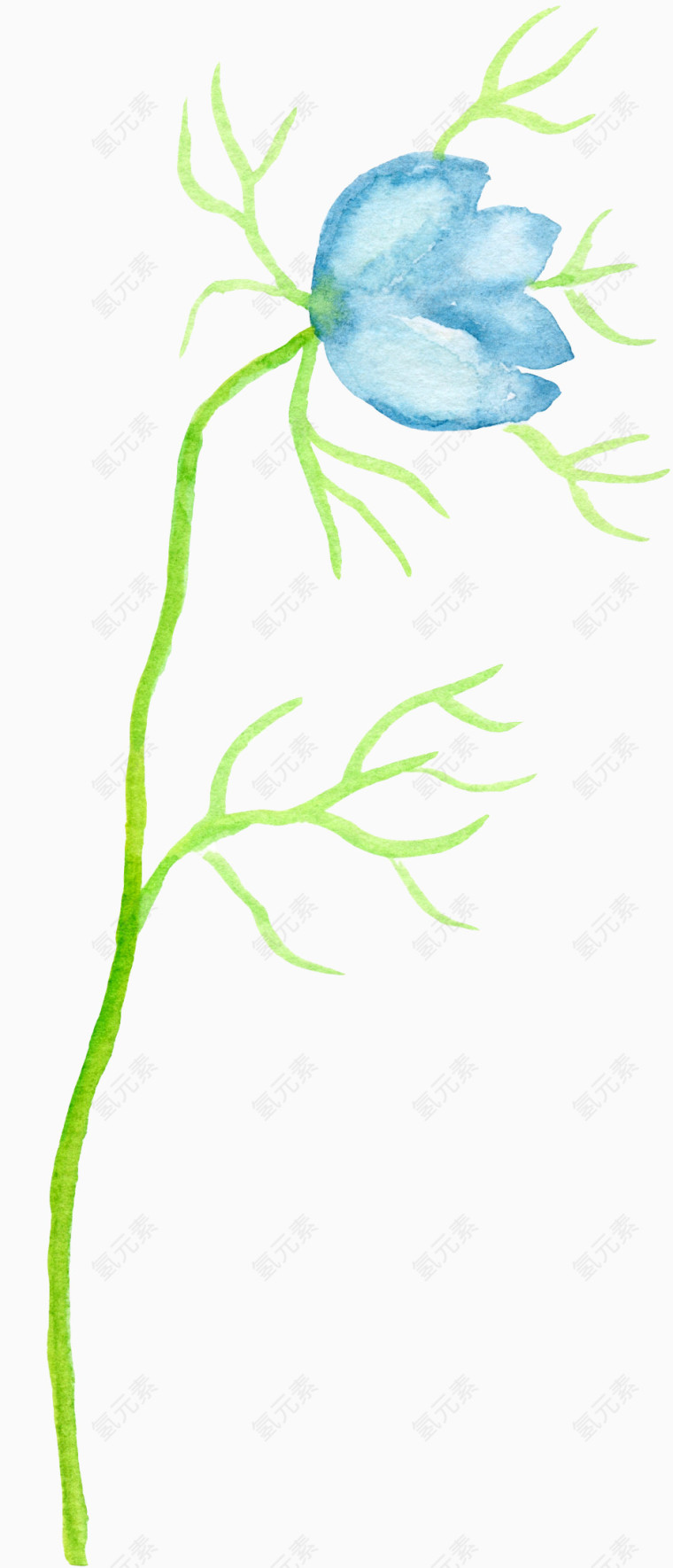 淡雅蓝色水彩花