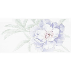 淡雅紫花自我欣赏