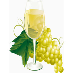 矢量手绘白葡萄