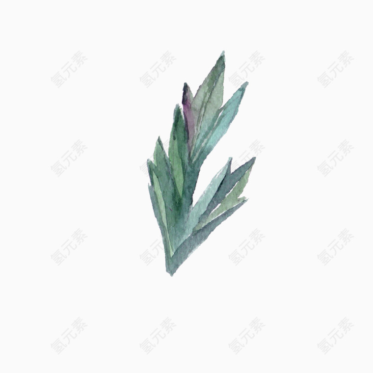 质感小草
