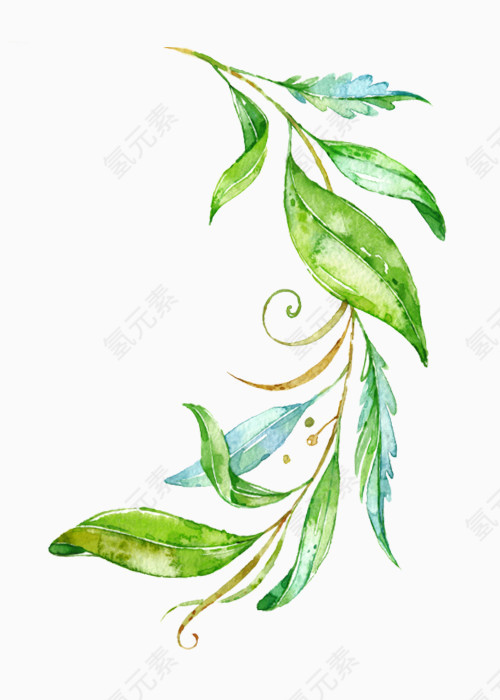 手绘插画水彩树叶元素