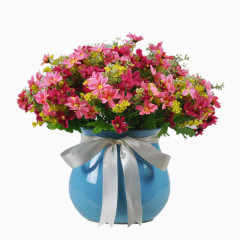 蓝色花瓶的室内花卉植物