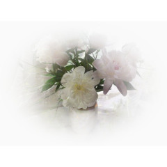 手绘装饰图片素描