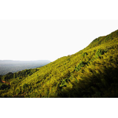 重庆永川茶山竹海风景