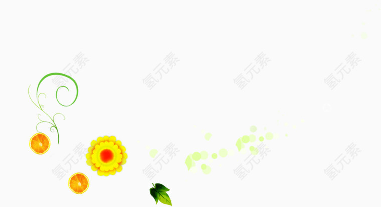 黄色淡雅菊花夏天