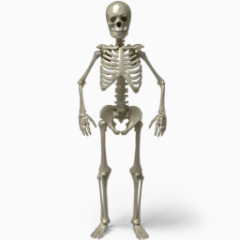 站着的骷髅骨架图标