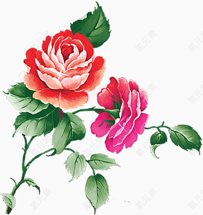 牡丹花