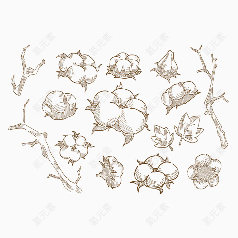 手绘棉花