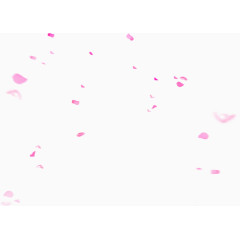 红色花瓣漂浮