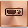 国会议员球员bronze-button-icons