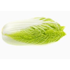 蔬菜白菜