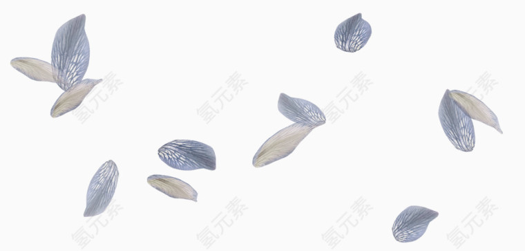 漂浮花瓣