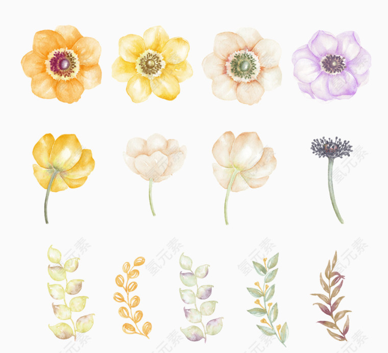 手绘花卉