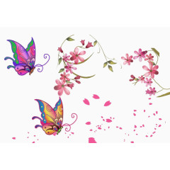 心形花瓣蝴蝶图片