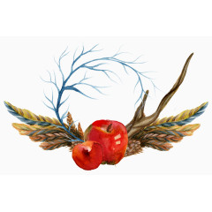 五彩缤纷植物羽毛