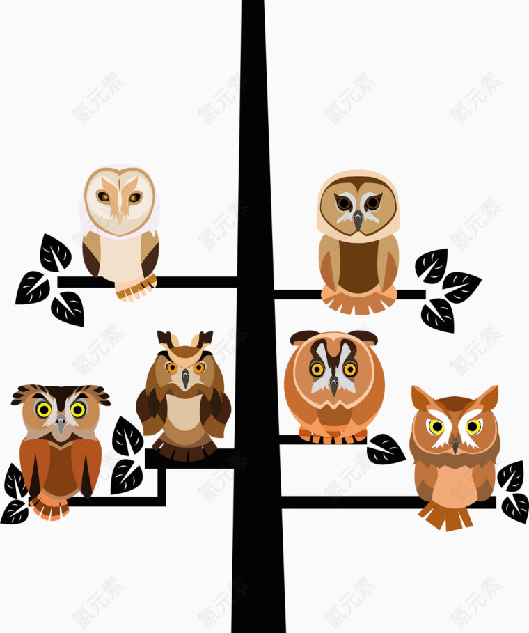 6只猫头鹰