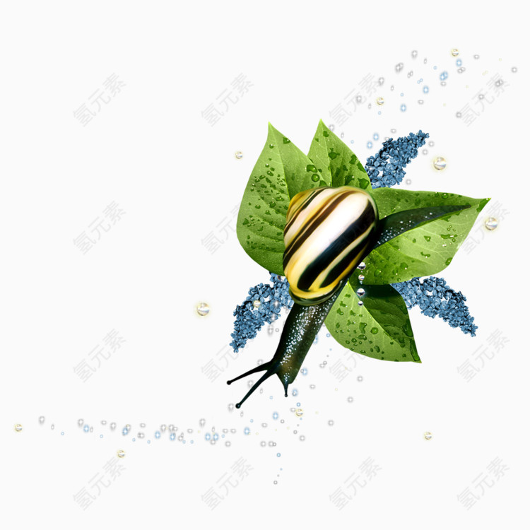 蜗牛