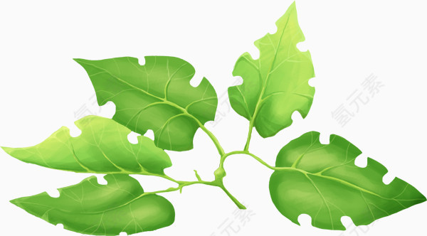 花草背景素材花草画