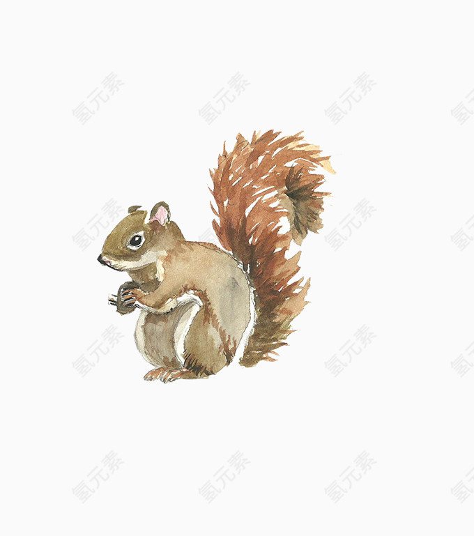 卡通松鼠