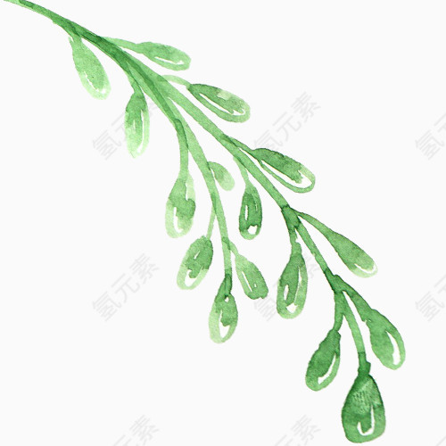 手绘插画水彩枝条元素