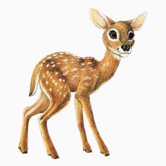梅花鹿免抠PNG图片素材