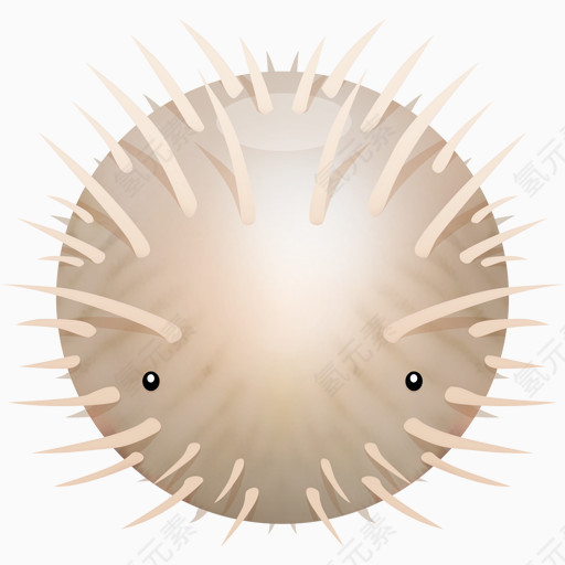 海洋生物