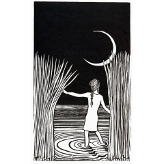 夜晚芦苇丛中的少女