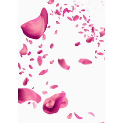 情人节花瓣