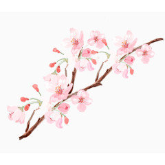 手绘唯美粉色桃花树枝